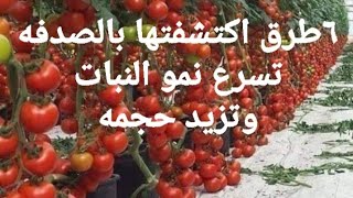 6 طرق اكتشفتها بالصدفه تسرع نمو النبات وتزيد حجمه