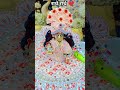 Radhe Radhe ❤️#radheradhenaam#radheshyam #radheshyambhajan#trending #love #shortvideos #viralvideos