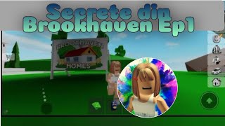 Secrete din Brookhaven Ep 1 #brookhaven #roblox