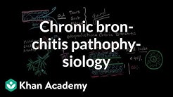 Chronic bronchitis pathophysiology | Respiratory system diseases | NCLEX-RN | Khan Academy