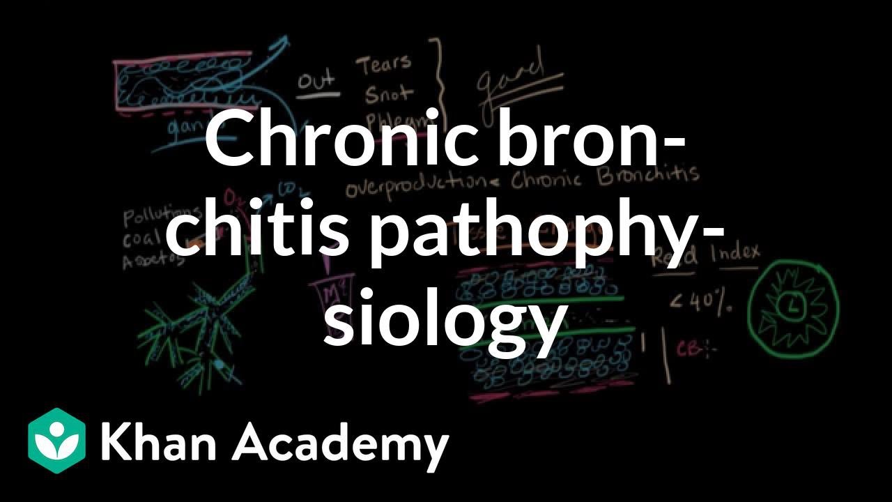 Bronchiectasis Pathophysiology Flow Chart