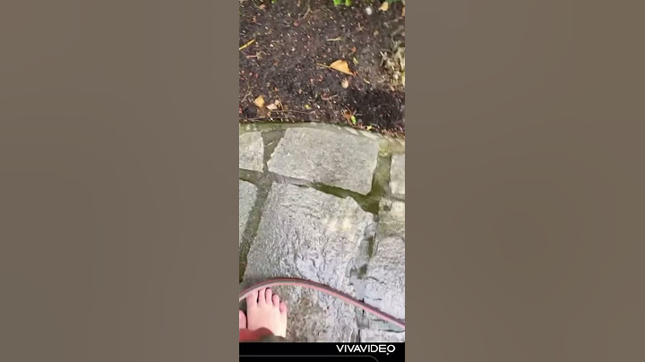 Monte kauft einen Hochdruckreiniger wegen seinen Enten .