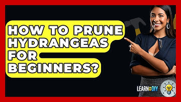 How To Prune Hydrangeas For Beginners? - LearnToDIY360.com