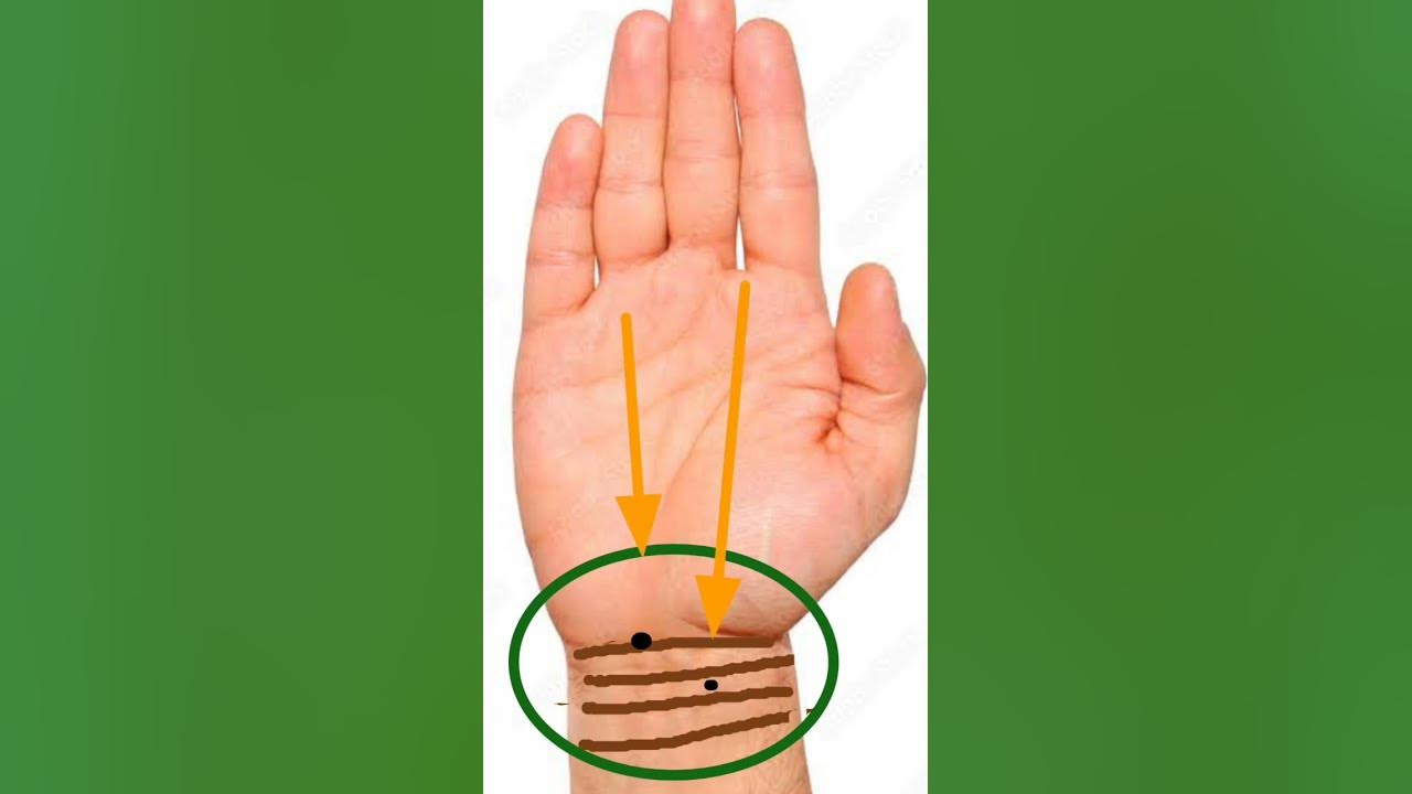 king-maker-palmistry-shorts-trending