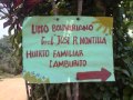 LOS GOLPEROS DEL TOCUYO