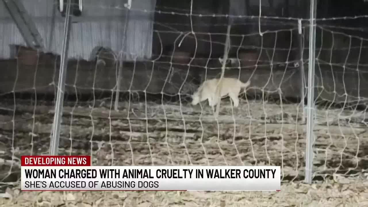 Woman charged with animal cruelty in Walker County - YouTube