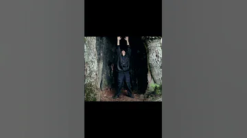 Дуплистый дуб великан В нем можно жить Shorts 
