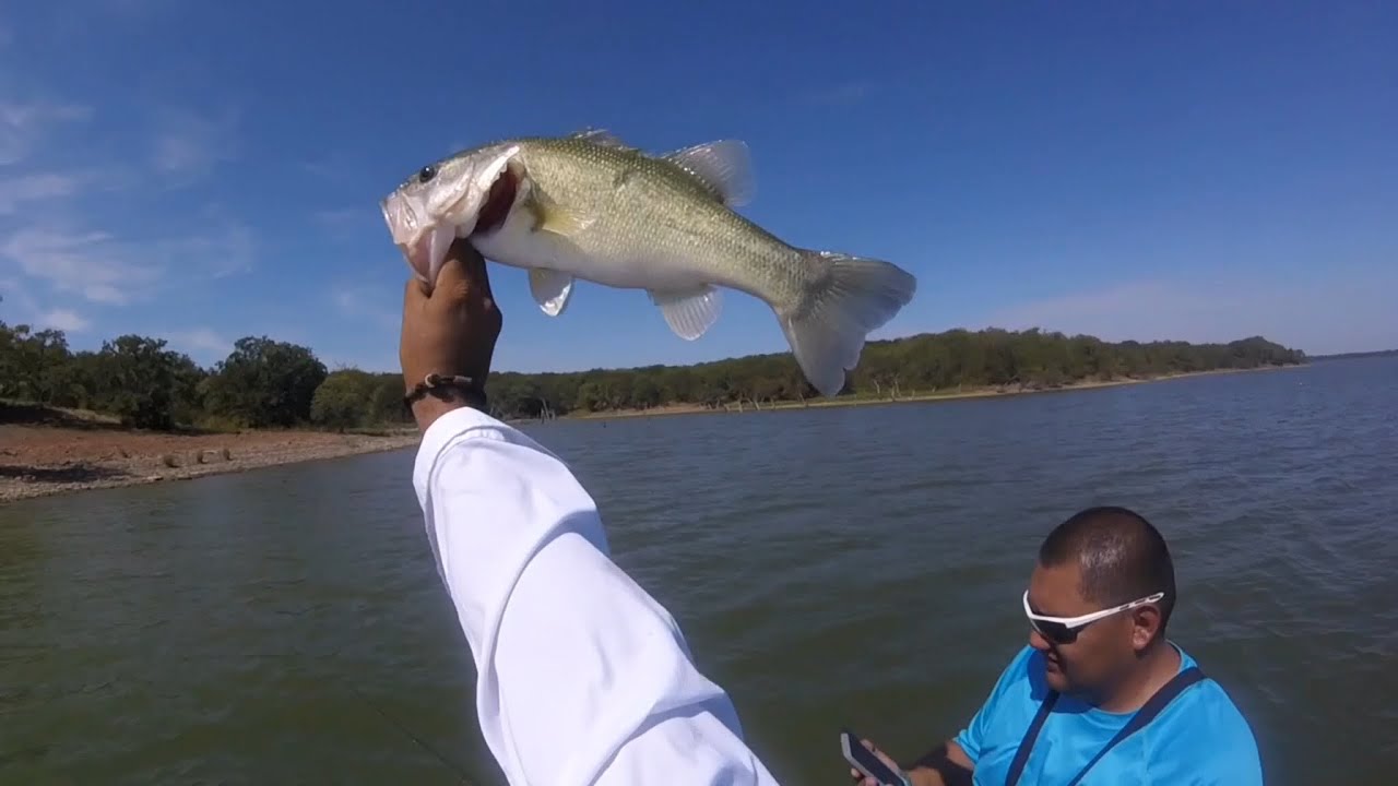 Fishing LAKE AQUILLA with white rattle traps... YouTube
