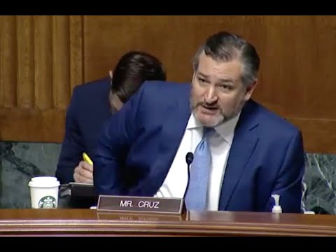 Ted Cruz asks question at hearing and IMMEDIATELY regrets it