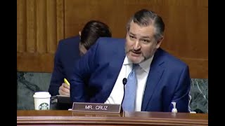 Ted Cruz asks question at hearing and IMMEDIATELY regrets it