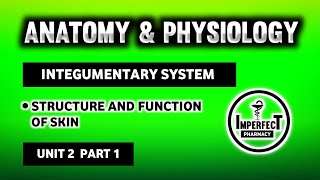 Structure And Function Of Skin | Integumentary System | Human Anatomy And Physiology | HAP screenshot 5