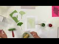 Video Lesson Plan - Nature Printing with Speedball Gel Printing Plates & Akua Inks