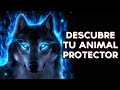 ¿Cuál es tu Animal Protector? | Test Divertidos