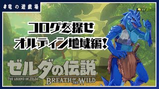 #5【ゼルダの伝説・breath of wild】コログを探せ・オルディン地域編！【竜の遊技場】