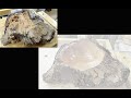 See The Transformation! - Wood Turning