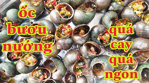 Ốc Bươu Nướng Muối Ớt Siêu Cay —Món Ngon Dân Dã Miền Tây /Tiến Pero