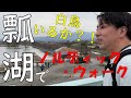 【瓢湖に白鳥?カモ?がいた★ノルディック・ウォーク】新潟では有名な瓢湖!これからの季節にぴったりの観光名所です!