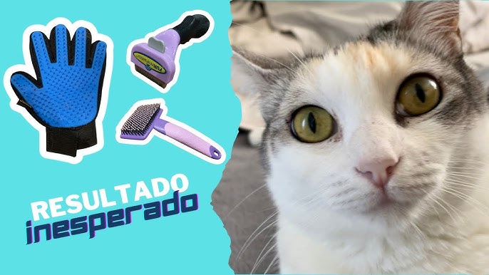 Cepillo De Vapor Para Gatos, 6 Piezas, Para Eliminar El Pelo