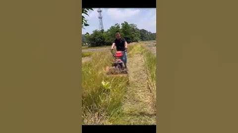 Máy cắt cỏ trục băm chuyên nghiệp máy cắt làm cỏ nông nghiệp #automobile #farming #bgmi #agriculture