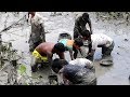 A Festival Fishing Video By Boys In Village Pond