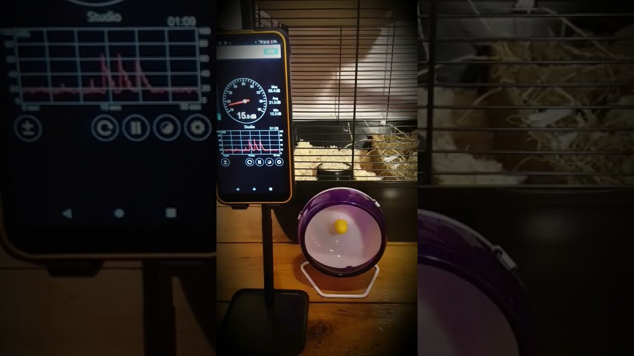 Silent hamster wheel review