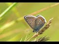 Meditace na uvolnění napětí | Návrat k sobě | 20 minut
