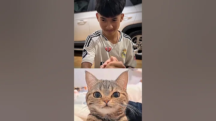 Wait for twist 👉😂 #cat #meme #dance