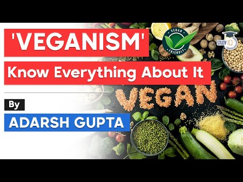 वीडियो: क्या ब्लेज़ में शाकाहारी चीज़ होती है?