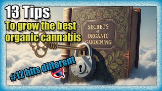 13 Tips to grow the BIGGEST and BEST organic cannabis