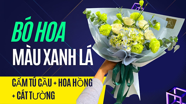 Bó hoa cẩm tú cầu giá bao nhiêu năm 2024