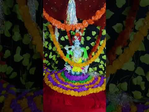 dhrol janmastami 2024 #gujrati #janmashtami #dwarkadhish #dwarka #shorts #youtubeshorts #youtube