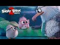 Take Your Hatchlings to Work Day | THE ANGRY BIRDS MOVIE 2