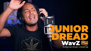 Junior Dread & Little Lion Sound - Desperation | WavZ Session [Evidence Music & Gold Up]
