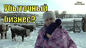 Семья Фетистовых