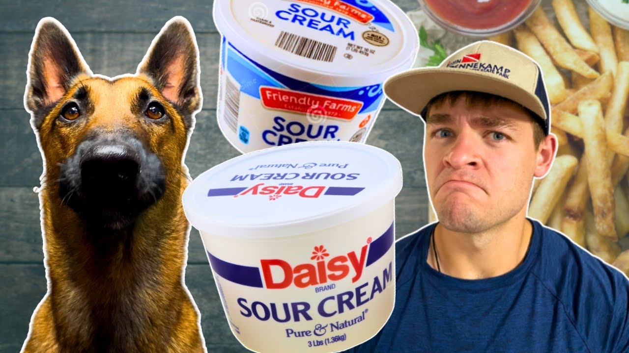 Daisy Sour Cream vs. Generic Brand Taste Test YouTube