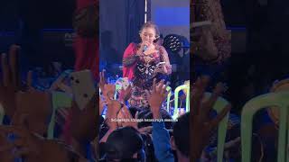 Download Lagu Mekarlah Bunga Terate Spesial Lagu PSHT di Nganjuk Niken Salindry MP3