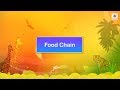 Food Chain | Science Video For Kids | Periwinkle