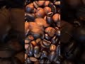 Asmr coffee beans sounds