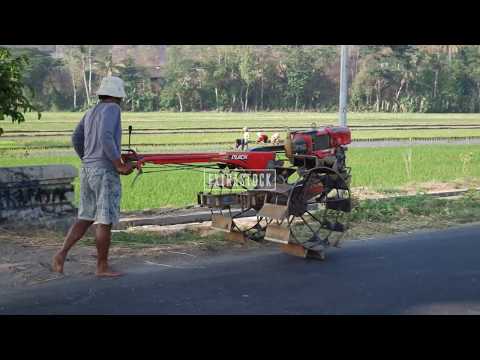 Video: Bekerja Dengan Traktor Berjalan Kaki: Alat Dan Ciri Traktor Berjalan Kaki Dan Kemahiran Untuk Bekerja Dengannya. Bagaimana Hendak Memulakan? Bagaimana Cara Mengganti Lilin Dan Baga