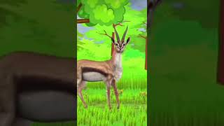 b for deer #abc #abcd #children #abcb #abcdsong #abcde #abcdlearning #abcdsongs #aboneol #abudhabi