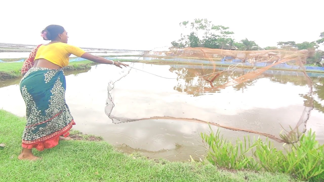 Top Fishermen Hand Catch Netting in Pond | Traditional Fish Catching ...
