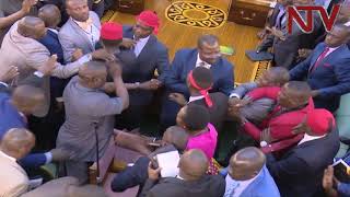 Chaos in house as minister is accused of being armed