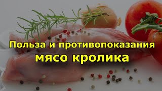 Польза и Противопоказания к употреблению мяса кролика