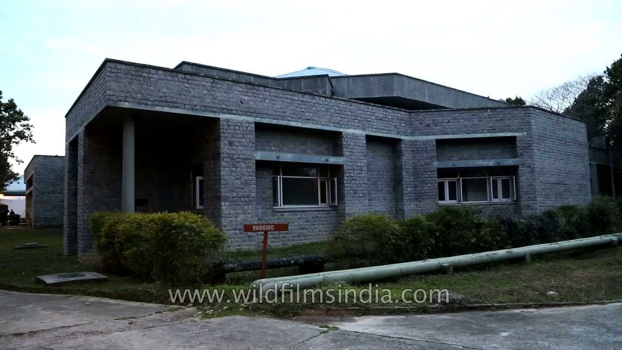 Wildlife Institute of India, Dehradun - YouTube