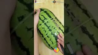 Watermelon Fruit Cutting..