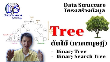 โครงสร้างต้นไม้ Tree: Binary Tree การท่องต้นไม้แบบ Preorder Inorder และ Postorder Binary Search Tree