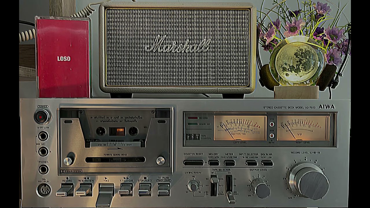 พันธ์ทิพย์ : โลโซ 📼📻🎶🎵🎸🎤🤘📼 [ cassettetape เทปคาสเซ็ท ]