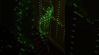 I’m Going to Jail #phasmophobia #phasma #horror #funny #gaming #scary #vrchat #vr #horrortok