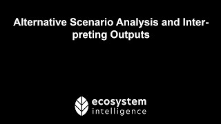 Alternative Scenario Analysis and Interpreting Outputs