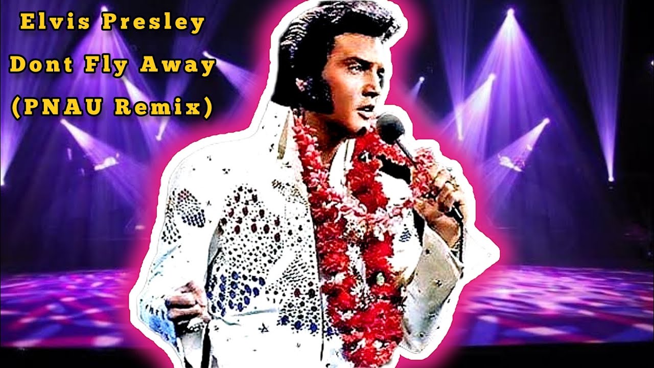 🎼 Elvis Presley Dont Fly Away (PNAU Remix) Karaokê (instrumental